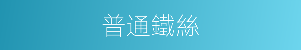 普通鐵絲的同義詞