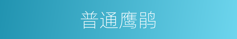 普通鹰鹃的同义词