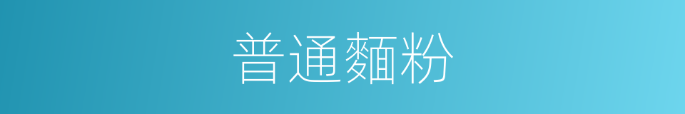 普通麵粉的同义词