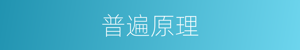 普遍原理的同义词