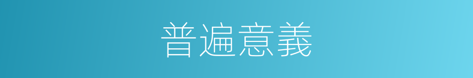 普遍意義的同義詞