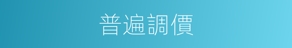 普遍調價的同義詞