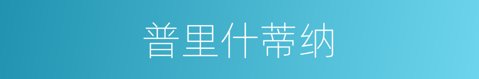 普里什蒂纳的同义词