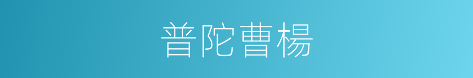 普陀曹楊的同義詞