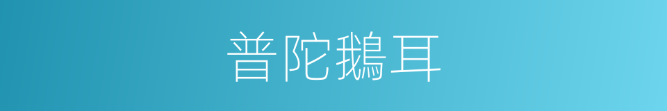 普陀鵝耳的同義詞