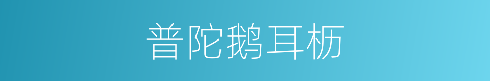 普陀鹅耳枥的同义词