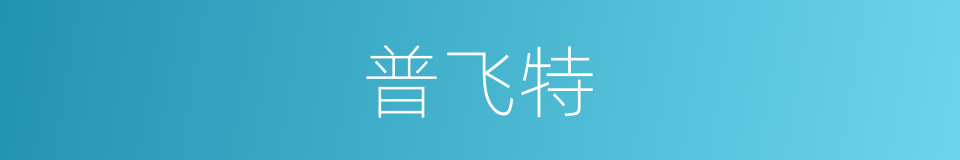 普飞特的同义词