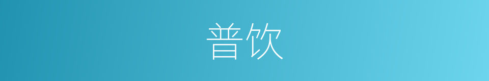 普饮的同义词