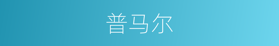 普马尔的同义词