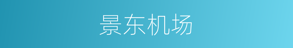 景东机场的同义词
