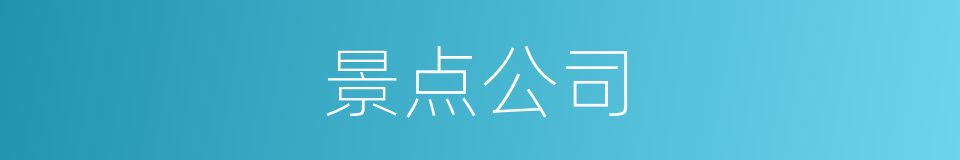 景点公司的同义词