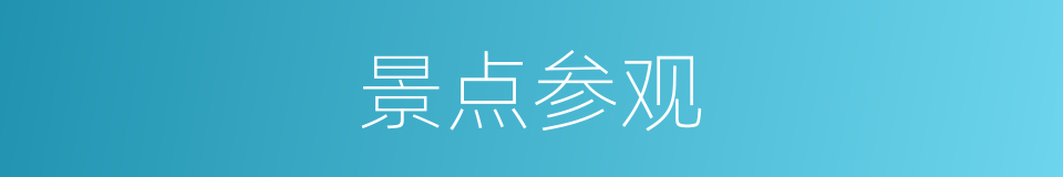 景点参观的同义词