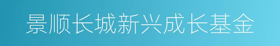 景顺长城新兴成长基金的同义词