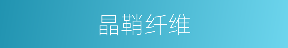 晶鞘纤维的同义词