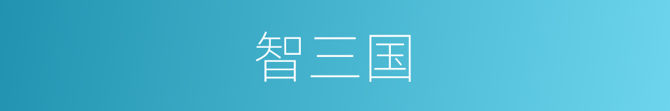 智三国的同义词