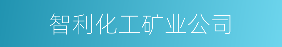 智利化工矿业公司的同义词