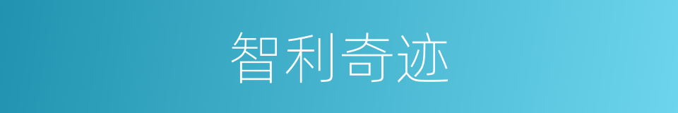 智利奇迹的同义词