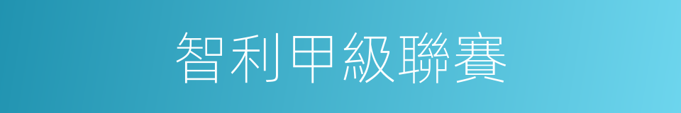 智利甲級聯賽的同義詞