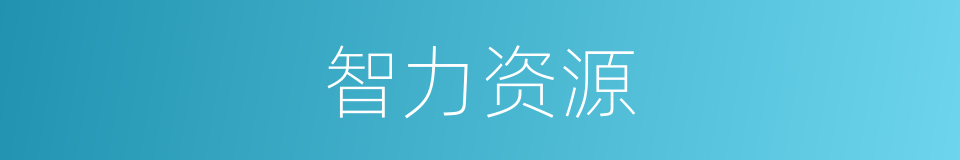 智力资源的同义词