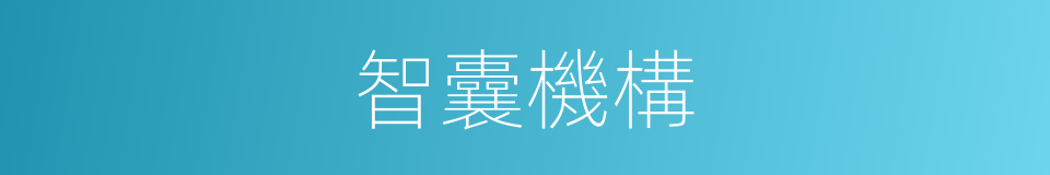 智囊機構的同義詞