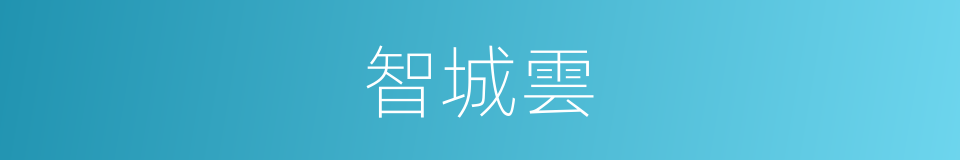 智城雲的同義詞