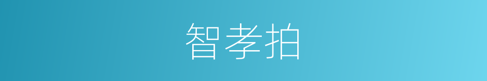 智孝拍的同义词