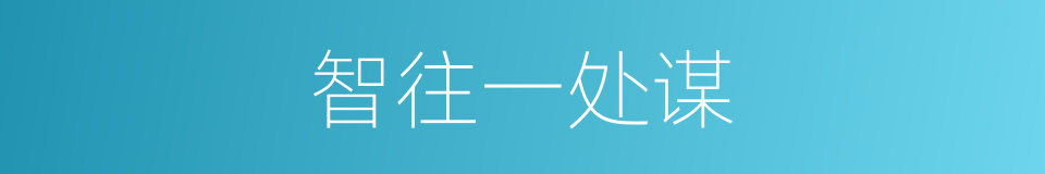 智往一处谋的同义词