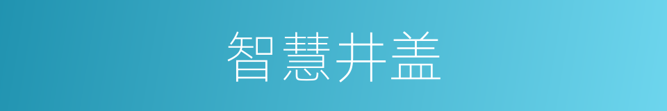 智慧井盖的同义词