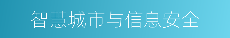 智慧城市与信息安全的同义词