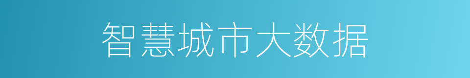 智慧城市大数据的同义词