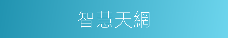 智慧天網的同義詞
