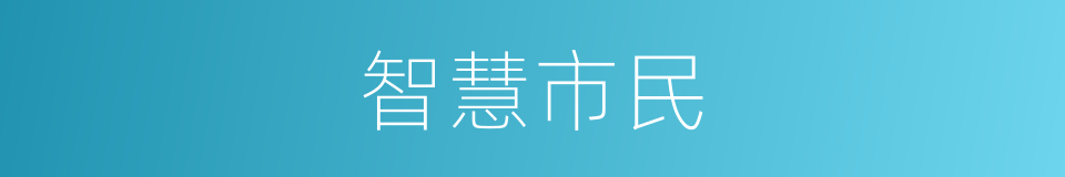 智慧市民的同义词