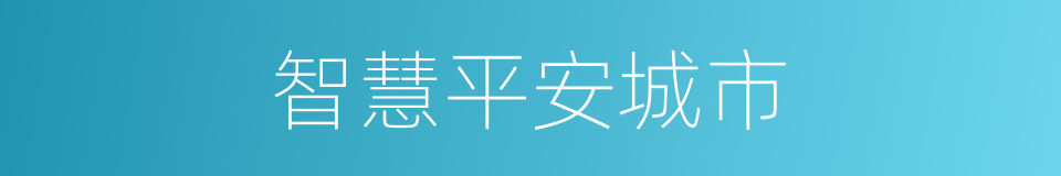 智慧平安城市的同义词
