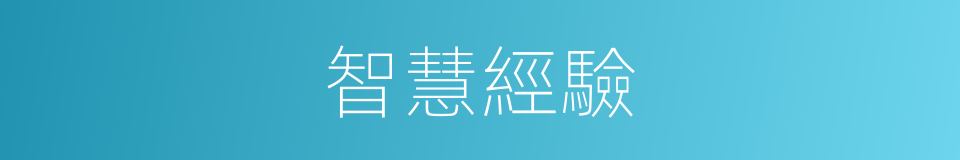 智慧經驗的同義詞