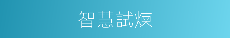 智慧試煉的同義詞