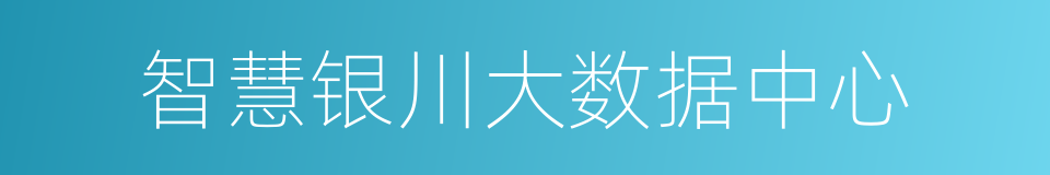智慧银川大数据中心的同义词