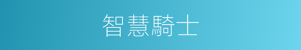 智慧騎士的同義詞