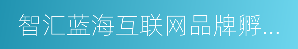 智汇蓝海互联网品牌孵化基地的同义词