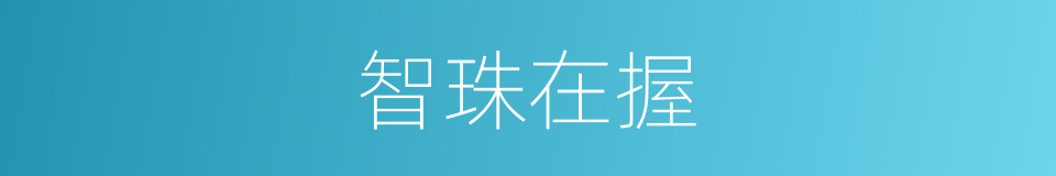 智珠在握的意思