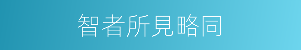 智者所見略同的意思