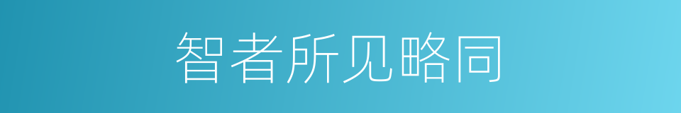 智者所见略同的意思