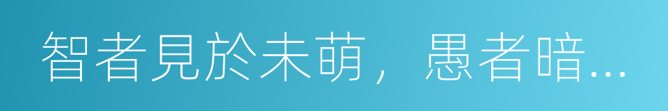 智者見於未萌，愚者暗於成事的同義詞