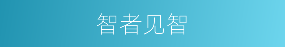 智者见智的意思