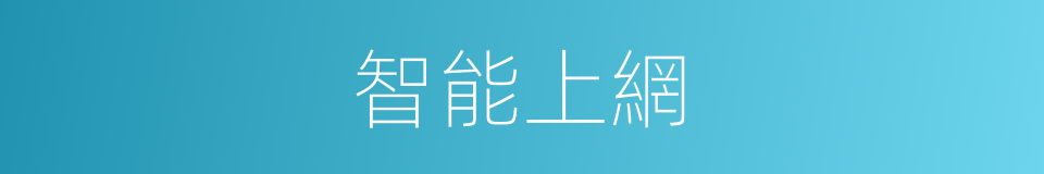 智能上網的同義詞