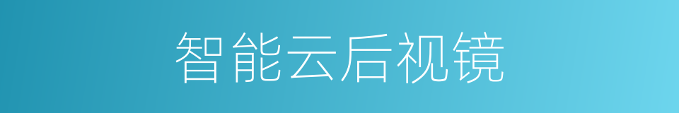 智能云后视镜的同义词