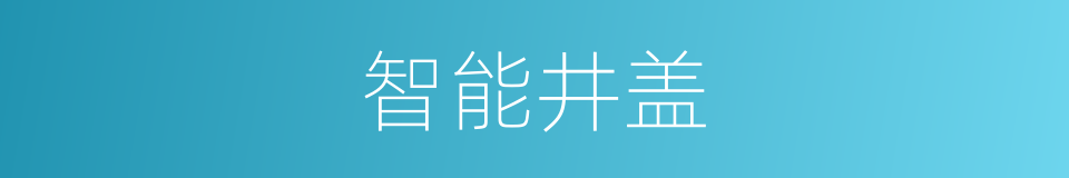 智能井盖的同义词