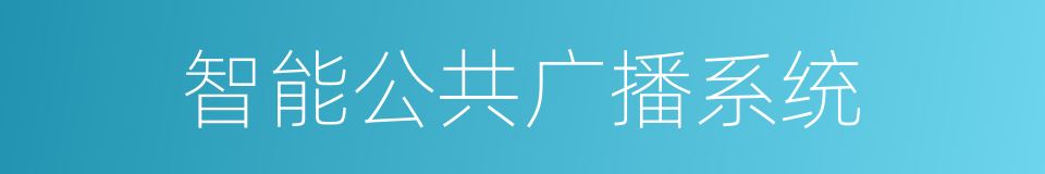 智能公共广播系统的同义词