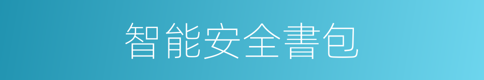 智能安全書包的同義詞