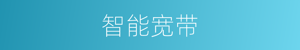 智能宽带的同义词