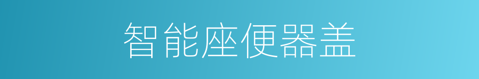 智能座便器盖的同义词